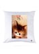 Printed Pillow polyester Multicolour 30x30cm
