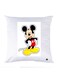 Printed Pillow polyester Multicolour 30x30cm