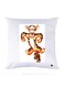 Printed Pillow polyester Multicolour 30x30cm