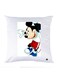Printed Pillow polyester Multicolour 30x30cm