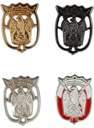 UAE Abu Dhabi 4 Pcs Mix Logo Design 2D Sticker Badge Metal 4cm
