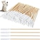 MAKINGTEC 300 Pieces Cotton Buds for Dogs and Cats Pet Cotton Ear Buds Swabs Cotton Dog Ear Cleaner Dog Ear Cleaning Solution Long Cotton Swab Dog Ear Drops with Wood Handle for Dog Ear Care