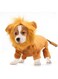 Tazweeq Dog Lion Costume Pet Clothes,Party Simulation Lion Pets Outfits,Cosplay Dress up,Costume Pet Lion Hoodie,Cat Costume for Party