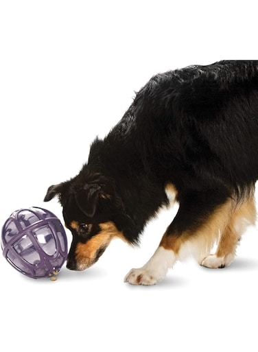 PetSafe Busy Buddy Kibble Nibble Meal Dispensing Dog Toy, Small - PTY00-13739,purple