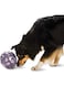 PetSafe Busy Buddy Kibble Nibble Meal Dispensing Dog Toy, Small - PTY00-13739,purple