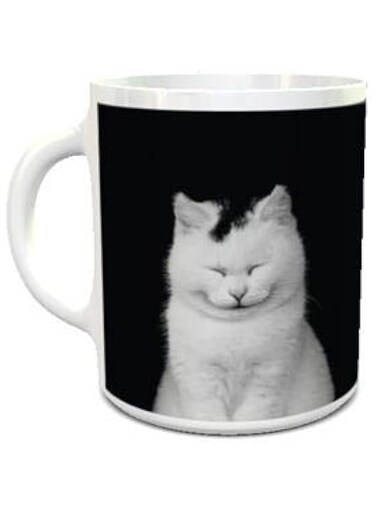 Impress Ceramic Coffee Mug with Cute Cats Design (White)