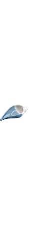 Linfye Conch Jewelry Dish Tray - Ceramic Ring Holder, Trinket Tray, Ocean Style Storage for Earrings and Candy - Table Decoration Supplies