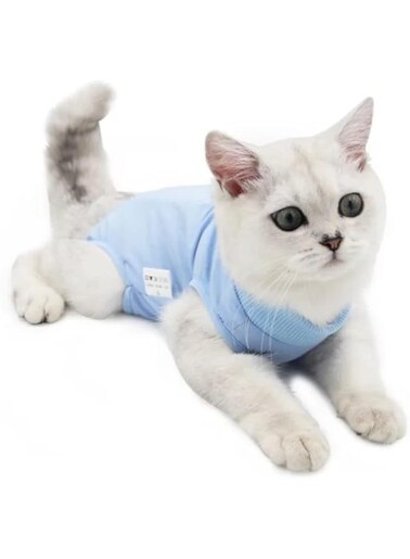 Postoperative Cat Surgical Recovery Clothes, Abdominal Wounds, L Soft Velcro Collar, Blue