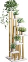Metal Flower Plan Shelf Indoor Decoration Multi-Layer Shelf 6 Pots Holder Decoration for Wedding Home Plants Stand Rack-