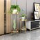 Flower stand Nordic Indoor Iron Flower Pot Stand Living Room Shelves Double Flower Stand Floor Type Plant Stand
