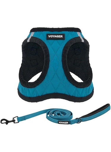 Best Pet Supplies Voyager Step-in Plush Dog Harness &ndash; Soft Plush, Step in Harness for Small and Medium Dogs - Turquoise Plush (Leash Bundle), M (Chest: 16-18")