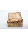 Undergarment Travel Organizer, lingerie Cover With 4 Segments, Women Undergarment Organizer Pouch, Bra and Panty Organizer (Golden)