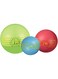 JW Pet Company iSqueak Ball Rubber Dog Toy, Medium, Colors Vary