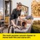 WD 3 Wet and Dry Vacuum Cleaner with Blower Function, 1000W Power, 17L Impact-Resistant Container, 2m Suction Hose, for Car, Garage, Workshop &amp; DIY Projects, Yellow