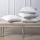 Cushion Filler 144 TC Cotton Outer fabric, 700 grams with Microfiber filling, Size: 65 x 65, White