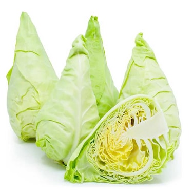 كرنب الربيع
