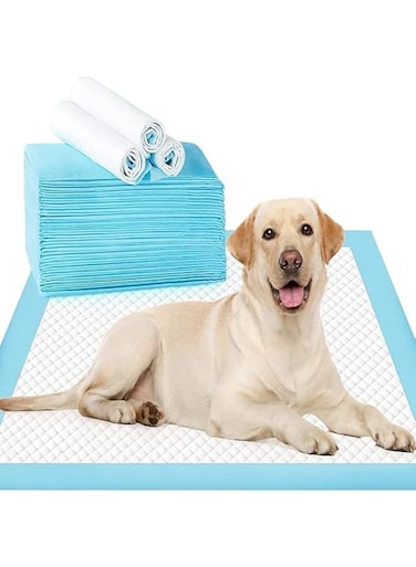 Mumoo Bear Pet Training Mat, Pee Pads For Dogs,Super Absorbent &amp; Leak-Proof 60 X 60cm - 40 Count