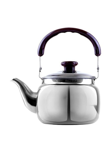 1000Ml/33.5Oz Stainless Steel Tea Kettle Stain Resistant Dish Washer Safe Mirror Finish Body Heat Resistant Phenolic Handle Multi Color 16.5X11X15 Cm