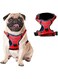 ByEzzy Dog for Small Dogs, No Pull Dog Vest Harness, Choke Free Medium Dog Harness with Nylon Handle (Large) (Large)