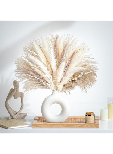 NALACAL Natural Dried Pampas Grass for Home Decor Boho Decor Bouquet Phragmites Dried Flowers Bouquet for Wedding Floral Arrangements Home Decorations (80PCS), SG2419