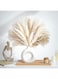 NALACAL Natural Dried Pampas Grass for Home Decor Boho Decor Bouquet Phragmites Dried Flowers Bouquet for Wedding Floral Arrangements Home Decorations (80PCS), SG2419