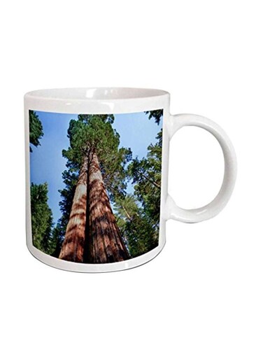 Sequoia Tree Printed Ceramic Mug White/Blue