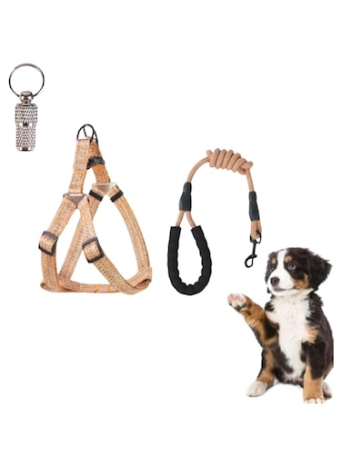 PETSARY Dog Harness Nylon Leash and Padded Handle with 1 Pcs Pet ID Tag - Adjustable Lightweight Long Rope Leash - Soft Heavy Duty Sturdy Design - Suitable for Small Medium (L, Orange (3-piece set))