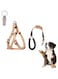 PETSARY Dog Harness Nylon Leash and Padded Handle with 1 Pcs Pet ID Tag - Adjustable Lightweight Long Rope Leash - Soft Heavy Duty Sturdy Design - Suitable for Small Medium (L, Orange (3-piece set))