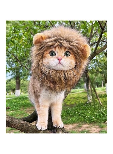Lion Mane Wig for Cat Costume Pet Adjustable Washable Comfortable Fancy Lion Hair Cat Clothes Dress for Halloween Christmas Easter Festival Party Activity (Medium)
