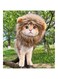 Lion Mane Wig for Cat Costume Pet Adjustable Washable Comfortable Fancy Lion Hair Cat Clothes Dress for Halloween Christmas Easter Festival Party Activity (Medium)
