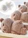Bear Fondant Mold Chocolate Molds Silicone 3D Silicone Animal Mold for DIY Fondant Dessert Baking Jello, Candy Cake Baking Decorating Ice Cube Soap Resin