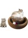 Magic Organ Foldable Cat Scratching Board, Grinding Scratch Pad with Toy Kring Ball, Durable Recyclable Interactive Cat Scratcher