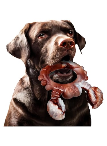 Dog Bone Chew Toy, Wishbone Shape, Beef Flavour (Large, Crab)