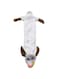 Petzy Chewable Mouse Soft Toy (No Stuffing)
