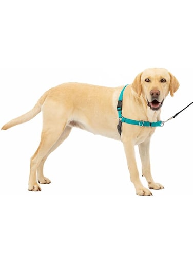PetSafe Easy Walk No-Pull Dog Harness - The Ultimate to Help Stop Pulling Take Control &amp; Teach Better Leash Manners Helps Prevent Pets on Walks Large, Teal