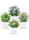 Tazweeq 4 Pack Small Fake Plants, Mini Artificial Faux Plants with Flowers, for Home Room Farmhouse Bathroom Wedding Flower Decor Indoor
