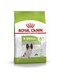 Royal Canin XS Adult 8+ Dry Dog Food - 1.5KG