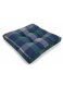 Premium Square Cotton Cushion &acirc;&euro;&ldquo; Green Base with Blue Accent Design, Soft Decorative Pillow, 40&Atilde;&mdash;40&Atilde;&mdash;7 cm
