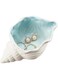 Tazweeq Conch Shape Ceramic Jewelry Tray, Ocean-themed Decorative Trinket Plate, Shell Dish Ceramic Ring Earring Holder, for Rings Earrings Necklaces Bracelet Jewelry Watch Keys