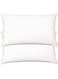 2 Piece Pack Classic Gold Piping Pillow Single Edge Piping Pillow White 50x70cm Made in Uae