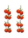 THE WHITE SHOP 2 PCS Artificial Fruit Hanging Strings, Tangerine Garland Artificial Fruit String for Restaurant Hotel Home Garden Decoration Prop Hanging Vegetables Pendant Realistic Furit(TANGERINE)