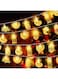 CAMLEO 9.8ft 20 LED Eid Moon Star String Lights - Warm White, Battery Operated, Indoor &amp; Outdoor, Ramadan Decorations