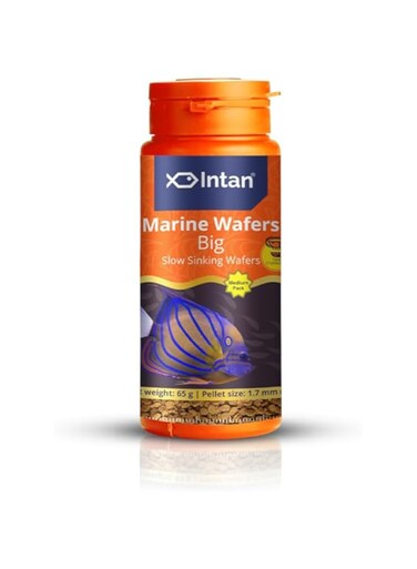 Growel Intan Marine Wafers (Big 1.7mm Slowly Sinking)   65gm - Highly Nutritious Ornamental Fish Food for Marine Angels, Clownfish, Royal Gramma &amp; Clown Trigger