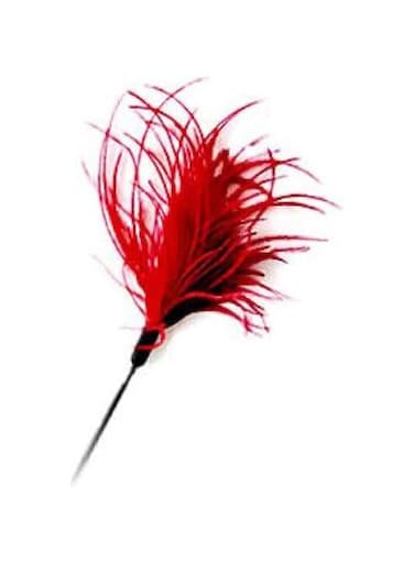 Pawsitiv Interactive Cat Teaser Toy Red Small