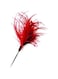 Pawsitiv Interactive Cat Teaser Toy Red Small