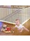 TYCA Child Safety Clear Banister Guard Net for Stairs, 9.8x2.5ft Protection Crib Mesh Liner Bumper for Baby, Cat Fence, Balcony Screen Cat Netting for Pets,SGS Passed