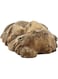 Exo Terra Reptile Cave Large
