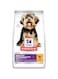 Hill's Science Plan Hills Science Plan Sensitive Stomach &amp; Skin Small &amp; Mini Adult Dog Food With Chicken 1.5Kg