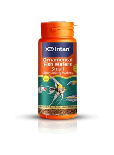 Intan Ornamental Fish Wafers (Small 0.9 MM Slow Sinking)   70 Gram - Highly Nutritious Ornamental Fish Food for Angels, Gouramis, Goldfish, Barbs &amp; Rainbows