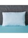 Box Primary Pillow
